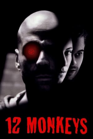 12 Monkeys (1995) Hindi Dual Audio [1GB]