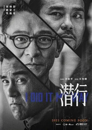I Did It My Way 2023 Hindi Dual Audio HD Poster Download - filmyfly