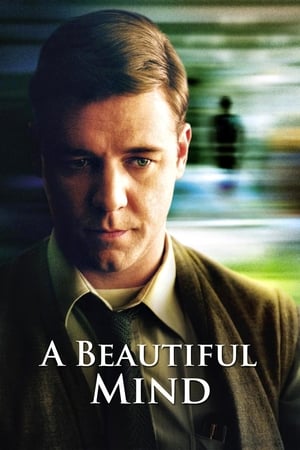A Beautiful Mind 2001 Hindi Dual Audio 450MB HD Poster Download - filmyfly