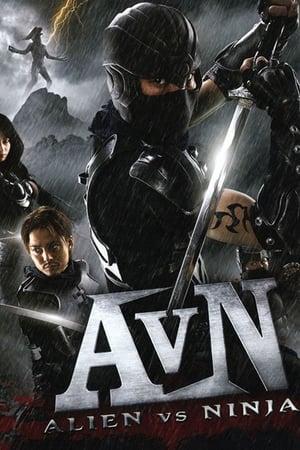 Alien vs Ninja 2010 Hindi Dual Audio 270MB HD Poster Download - filmyfly