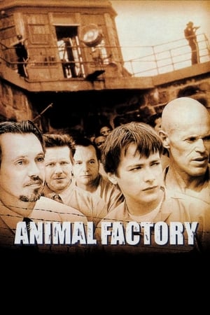 Animal Factory (2000) Hindi Dual Audio [950MB] HD Poster Download - filmyfly