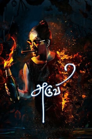 Aruvi (2016) (Hindi -Tamil) Dual Audio [1.3GB] HD Poster Download - filmyfly
