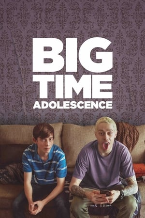 Big Time Adolescence (2019) Hindi Dual Audio – HD Poster Download - filmyfly