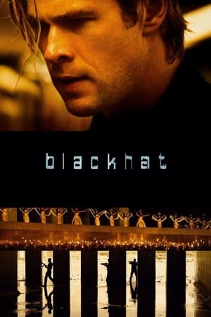 Blackhat 2015 Hindi Dual Audio [940MB] HD Poster Download - filmyfly