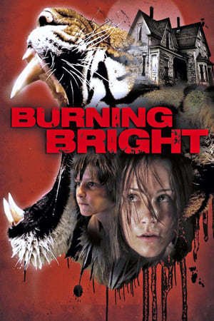 Burning Bright (2010) Hindi Dual Audio 300MB HD Poster Download - filmyfly