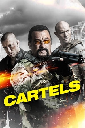 Cartels 2017 Hindi Dual Audio 300MB HD Poster Download - filmyfly