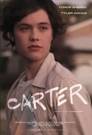 Carter (2022) Hindi Dual Audio – HD Poster Download - filmyfly
