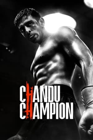 Chandu Champion 2024 Hindi – – HD Poster Download - filmyfly