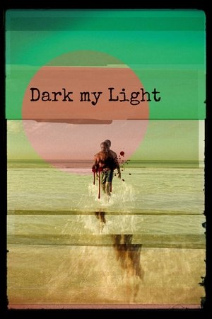 Dark My Light (2025) Hindi (MULTI AUDIO) – –
