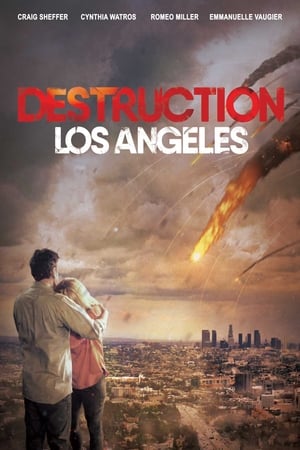 Destruction Los Angeles (2017) Hindi Dual Audio 300MB HD Poster Download - filmyfly