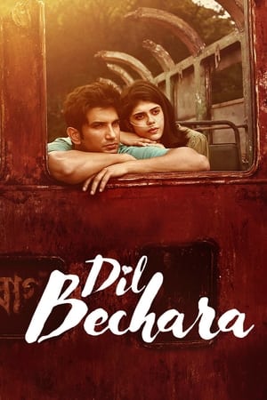 Dil Bechara (2020) Hindi Movie - [350MB] HD Poster Download - filmyfly
