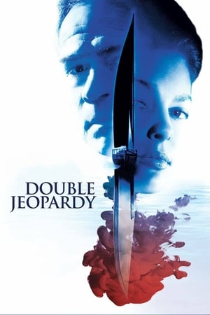 Double Jeopardy 1999 Hindi Dual Audio [920MB] HD Poster Download - filmyfly