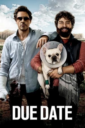 Due Date (2010) Hindi Dual Audio [850MB] HD Poster Download - filmyfly