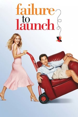 Failure to Launch 2006 Hindi Dual Audio 300MB HD Poster Download - filmyfly