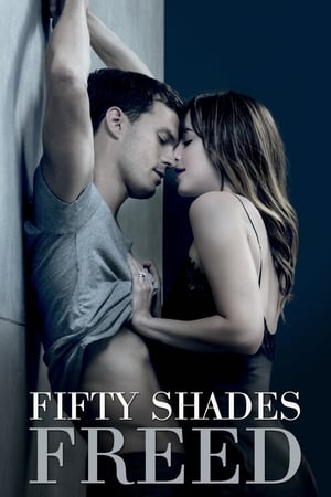 Fifty Shades Freed (2018) Hindi Dual Audio [1GB] HD Poster Download - filmyfly
