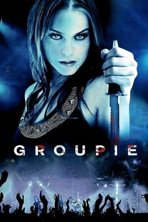 Groupie (2010) Hindi Dual Audio 300MB HD Poster Download - filmyfly