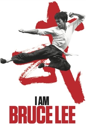 I Am Bruce Lee 2012 300MB Hindi Dual Audio HD Poster Download - filmyfly