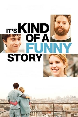 It's Kind of a Funny Story (2010) Hindi Dual Audio [950MB] ESubs HD Poster Download - filmyfly