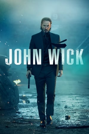 John wick 2014 100mb Hindi Dual Audio movie Download HD Poster Download - filmyfly