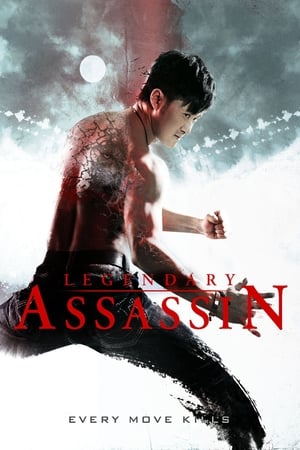 Legendary Assassin (2008) Hindi Dual Audio 300MB HD Poster Download - filmyfly