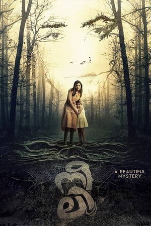 Neeli (2018) (Hindi – Malayalam) Dual Audio 400MB HD Poster Download - filmyfly