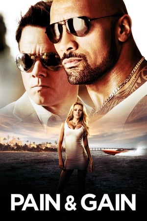 Pain & Gain 2013 Movie 100MB Buray Hindi Dual Audio HD Poster Download - filmyfly