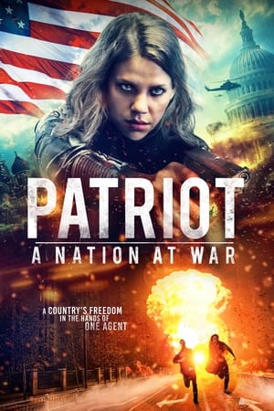 Patriot A Nation at War 2020 Hindi Dual Audio 300MB