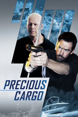 Precious Cargo (2016) Hindi Dual Audio [920MB] HD Poster Download - filmyfly