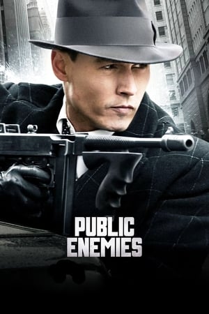 Public Enemies (2009) Hindi Dual Audio 400MB