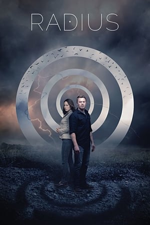 Radius (2017) Hindi Dual Audio 300MB HD Poster Download - filmyfly