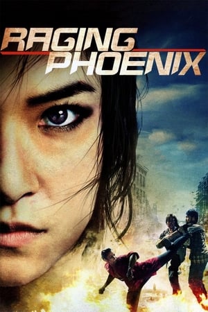 Raging Phoenix (2009) Hindi Dual Audio 350MB HD Poster Download - filmyfly