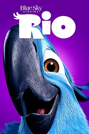 Rio (2011) 100mb Hindi Dual Audio movie 130MB HD Poster Download - filmyfly