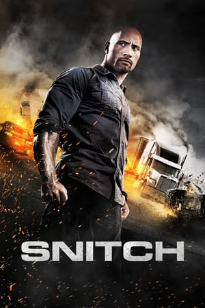 Snitch (2013) Hindi Dual Audio [930MB] HD Poster Download - filmyfly