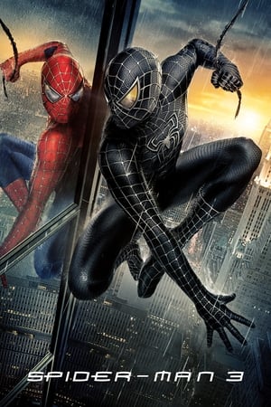Spider-Man 3 (2007) Movie Hindi Dual Audio [800MB] HD Poster Download - filmyfly