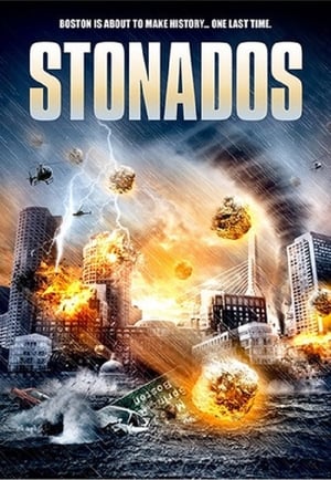 Stonados (2013) Hindi Dual Audio 300MB
