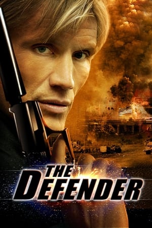 The Defender (2004) Hindi Dual Audio 300MB