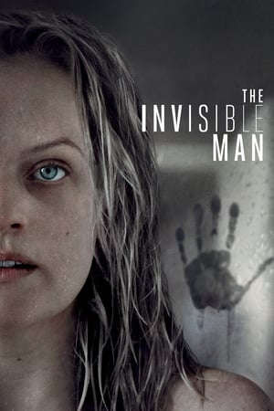 The Invisible Man (2020) Hindi (ORG) Dual Audio 400MB HD Poster Download - filmyfly