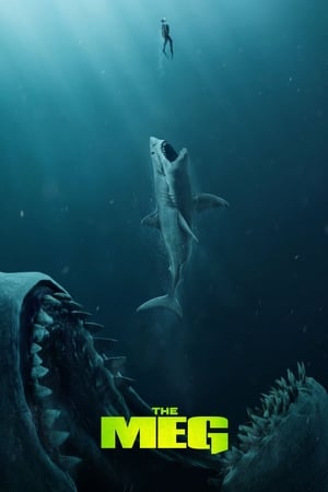 The Meg (2018) Hindi (Org) Dual Audio 350MB HD Poster Download - filmyfly