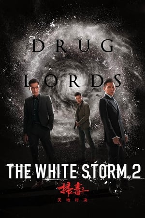 The White Storm 2: Drug Lords (2019) Hindi (Org) 300MB