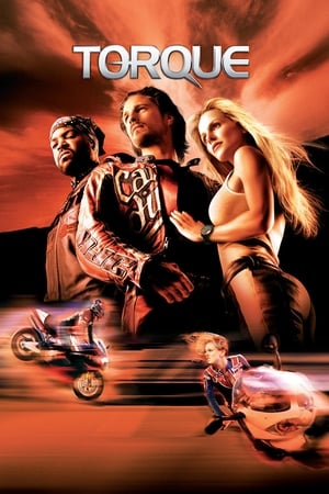 Torque 2004 300MB Hindi Dual Audio Download HD Poster Download - filmyfly