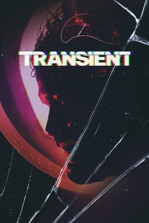 Transient (2024) Hindi (MULTI AUDIO) – –