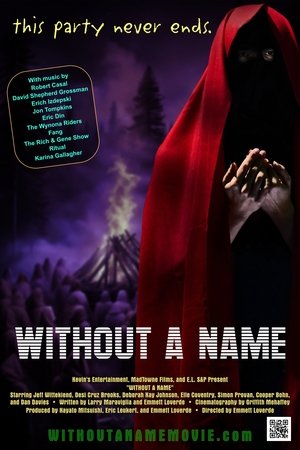 Without a Name (2025) Hindi (MULTI AUDIO) – – HD Poster Download - filmyfly