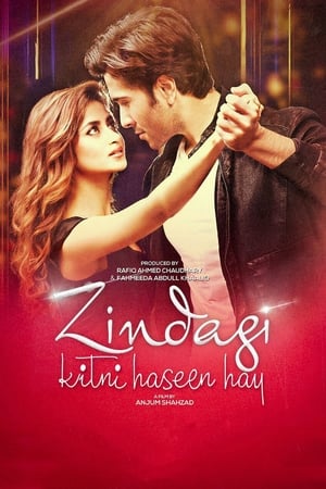 Zindagi Kitni Haseen Hay (2016) Pakistani Movie [980MB]