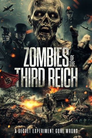 Zombies of the Third Reich (2025) Hindi (MULTI AUDIO) – –